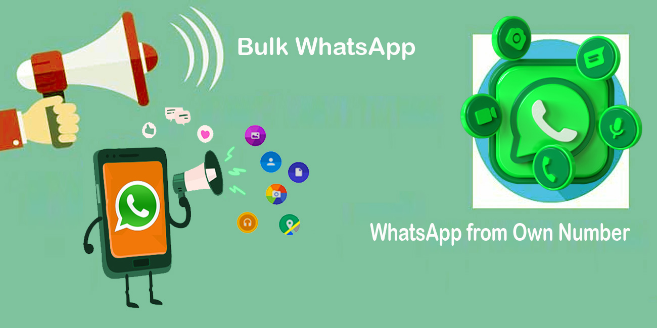 Own Number Bulk WhatsApp Provider